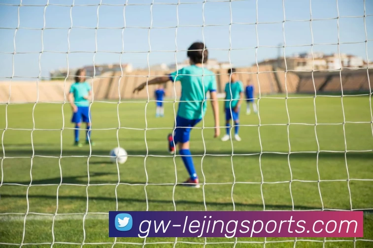 乐竞体育官网发展历程